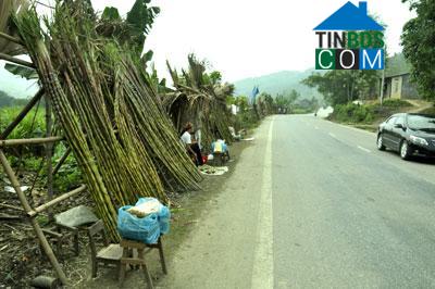 Hình ảnh Tân Kỳ, Thái Nguyên