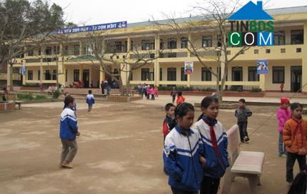 Hình ảnh Tân Thành, Thái Nguyên