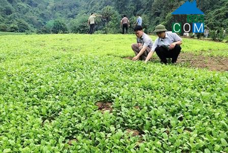 Hình ảnh Thần Sa, Thái Nguyên