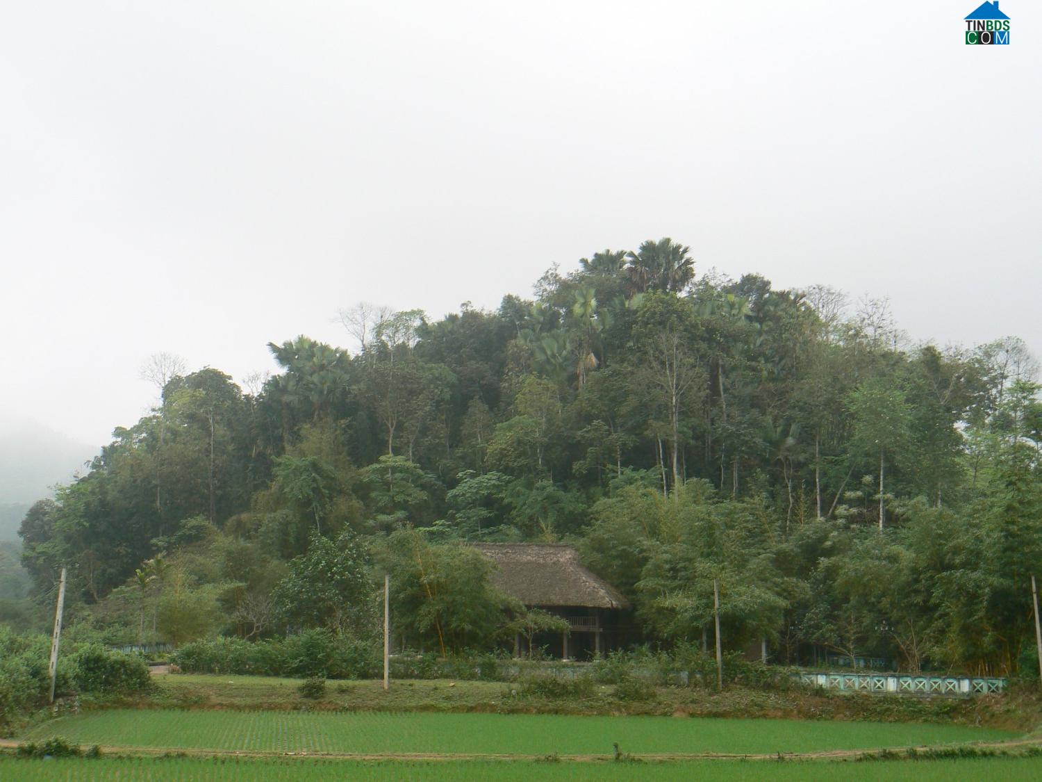 Hình ảnh Phú Đình, Thái Nguyên