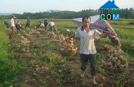 Hình ảnh Phú Thịnh, Thái Nguyên