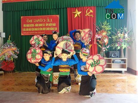 Hình ảnh Trung Hạ, Thanh Hóa