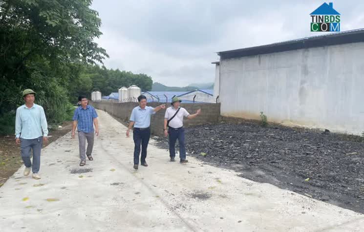 Hình ảnh Trần Phú, Thái Nguyên