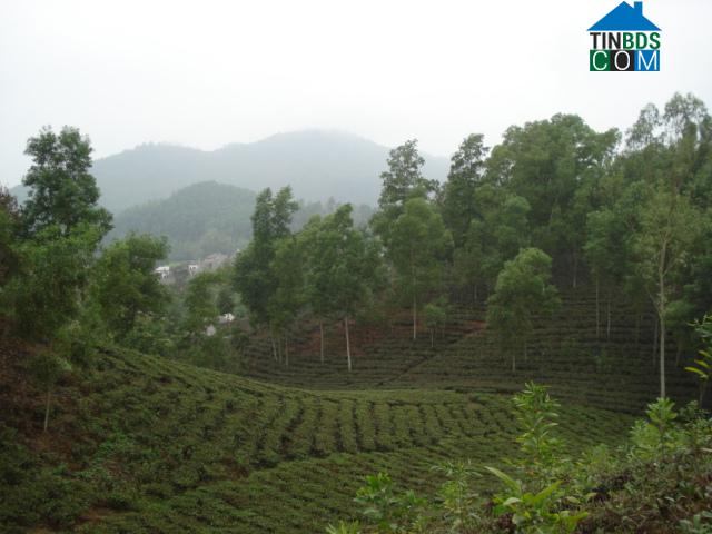 Hình ảnh Trung Hội, Thái Nguyên