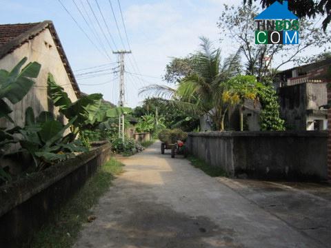 Hình ảnh An Khánh, Thái Nguyên