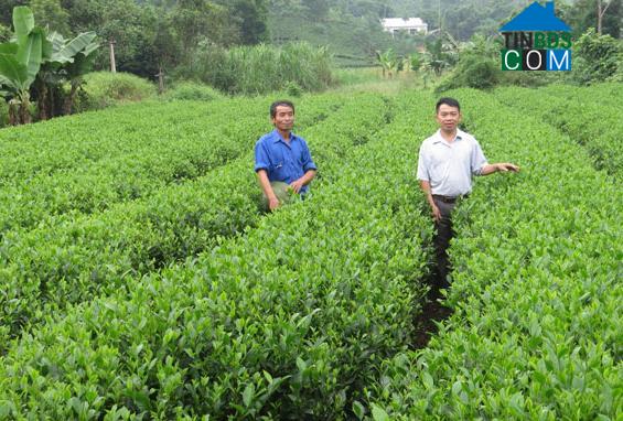 Hình ảnh Văn Hán, Thái Nguyên