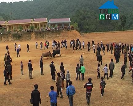 Hình ảnh Văn Lang, Thái Nguyên