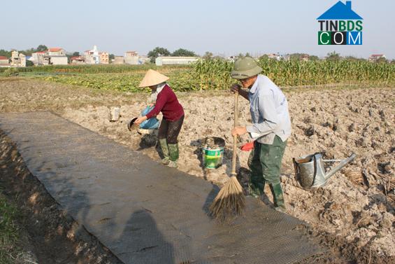 Hình ảnh Vạn Xuân, Thái Nguyên
