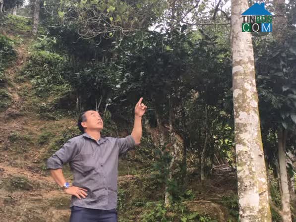 Hình ảnh Yên Bình, Thái Nguyên