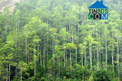 Hình ảnh Yên Phong, Thái Nguyên