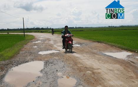 Hình ảnh An Nông, Thanh Hóa