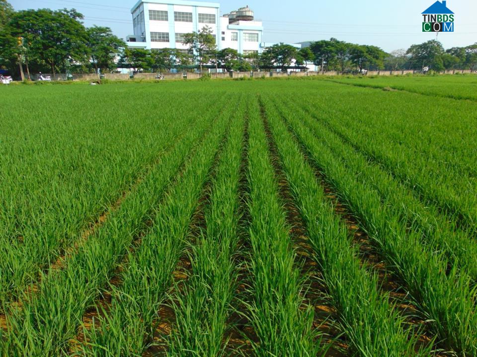 Hình ảnh Vân Du, Thanh Hóa