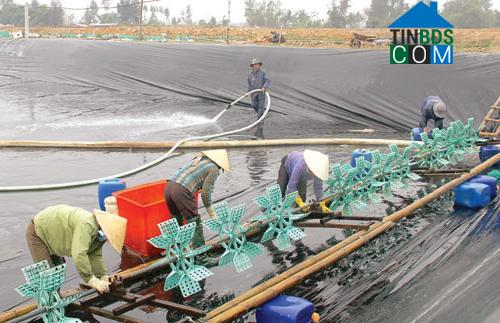 Hình ảnh Vạn Lộc, Thanh Hóa