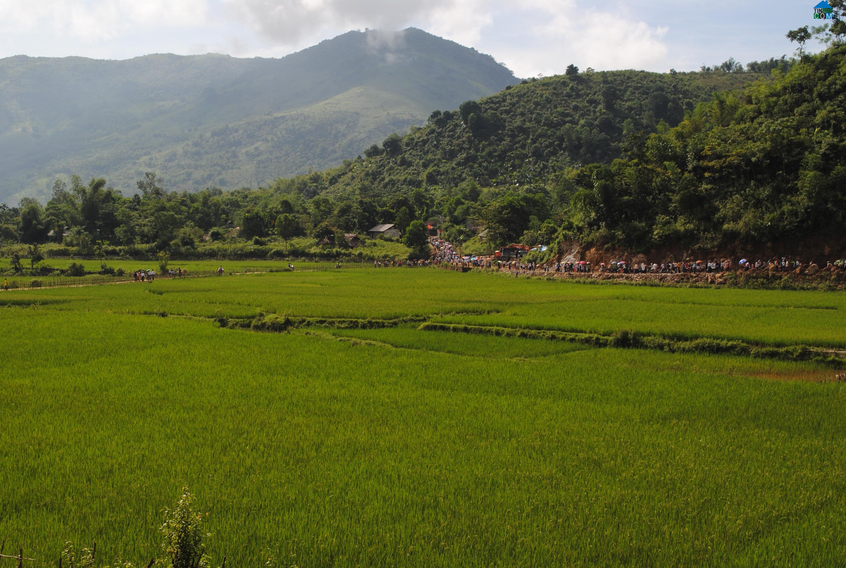Hình ảnh Văn Nho, Thanh Hóa