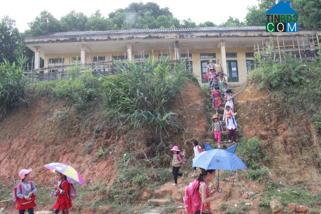 Hình ảnh Xuân Chinh, Thanh Hóa