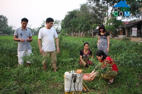 Hình ảnh Cẩm Tân, Thanh Hóa