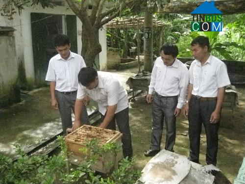 Hình ảnh Cẩm Thạch, Thanh Hóa