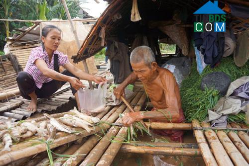 Hình ảnh Cẩm Thủy, Thanh Hóa