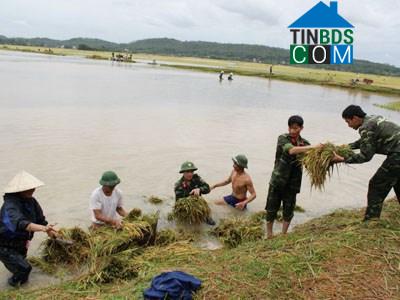 Hình ảnh Hợp Tiến, Thanh Hóa