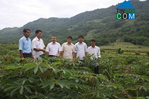 Hình ảnh Kiên Thọ, Thanh Hóa