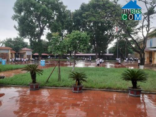 Hình ảnh Tân Ninh, Thanh Hóa