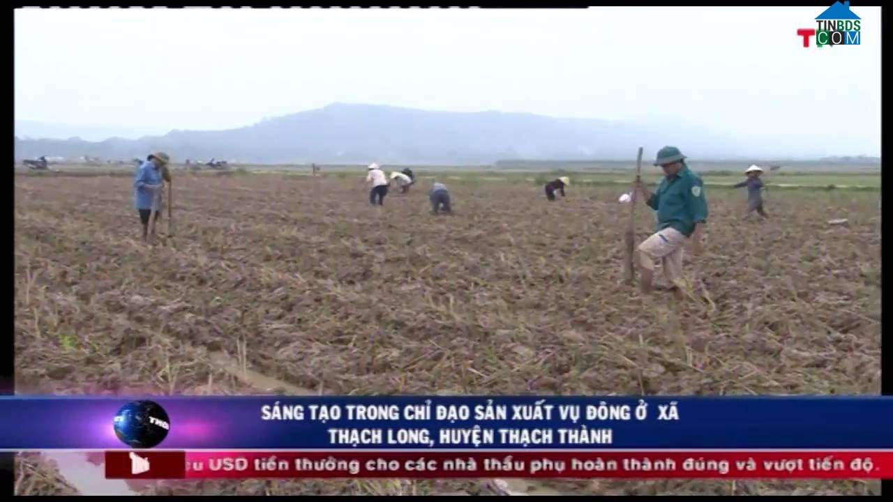 Hình ảnh Thạch Bình, Thanh Hóa