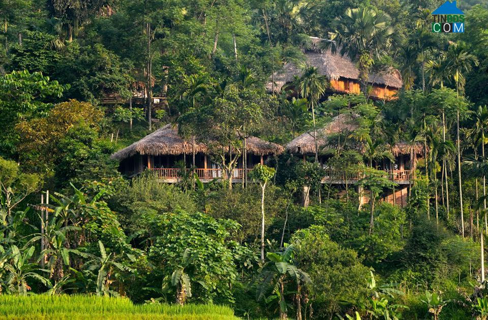 Hình ảnh Thanh Phong, Thanh Hóa