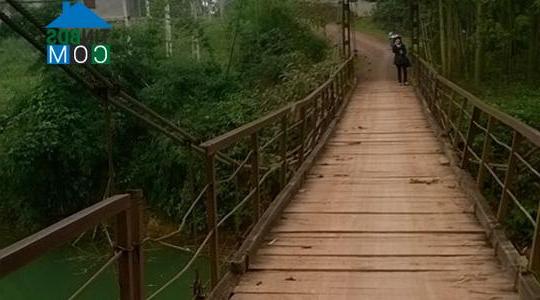 Hình ảnh Ngọc Liên, Thanh Hóa