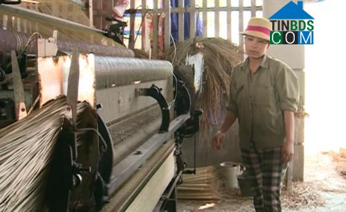 Hình ảnh Quảng Ngọc, Thanh Hóa