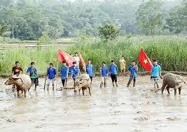 Hình ảnh Sao Vàng, Thanh Hóa