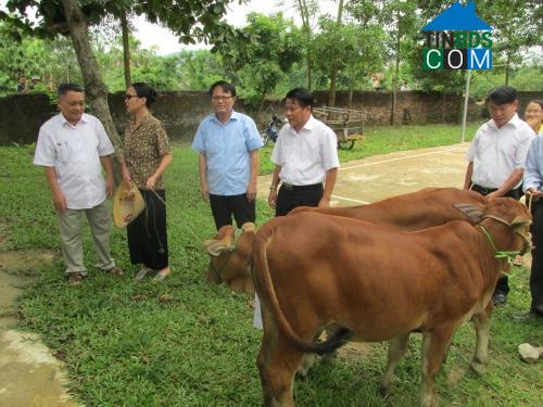 Hình ảnh Trung Chính, Thanh Hóa