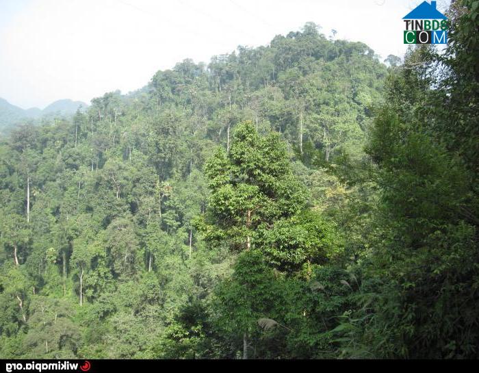 Hình ảnh Phú Lệ, Thanh Hóa