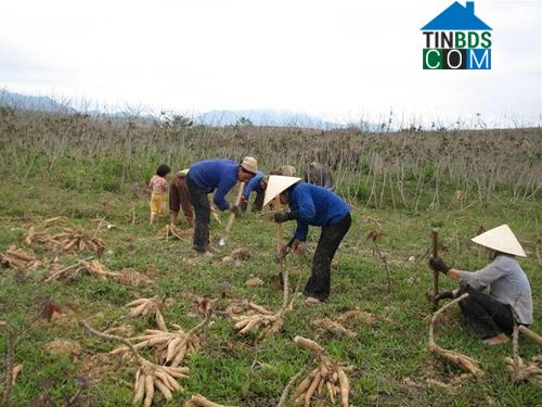 Hình ảnh Xuân Hòa, Thanh Hóa