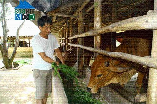 Hình ảnh Minh Sơn, Thanh Hóa