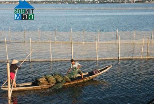 Hình ảnh Phú Hồ, Huế