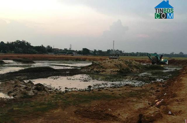 Hình ảnh Thọ Phú, Thanh Hóa