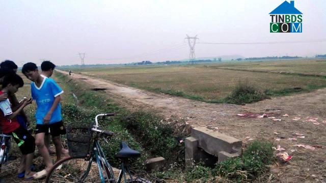 Hình ảnh Định Tân, Thanh Hóa