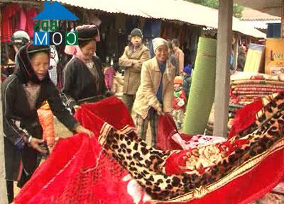 Hình ảnh Bạch Xa, Tuyên Quang