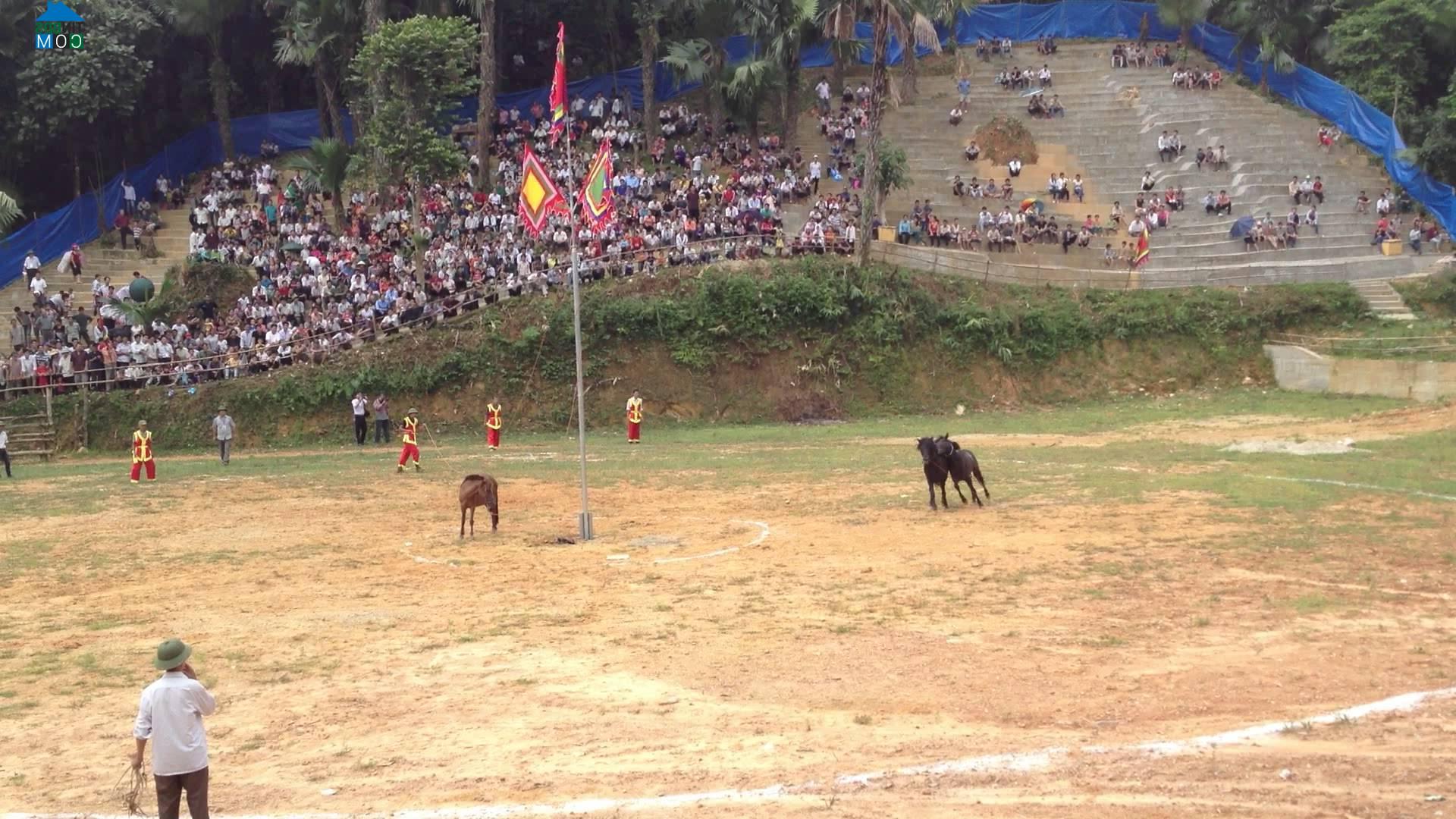 Hình ảnh Bằng Hành, Tuyên Quang
