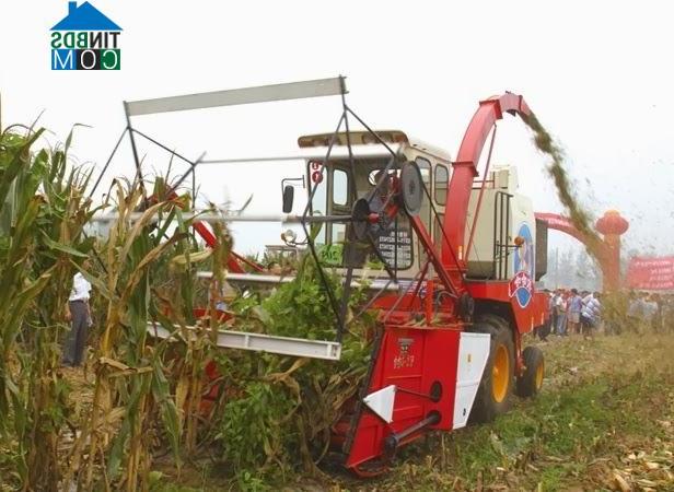 Hình ảnh Bình Ca, Tuyên Quang