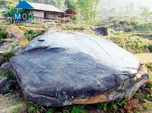 Hình ảnh Nấm Dẩn, Tuyên Quang