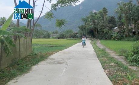 Hình ảnh Linh Hồ, Tuyên Quang