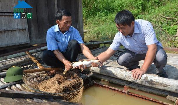 Hình ảnh Thái Hòa, Tuyên Quang