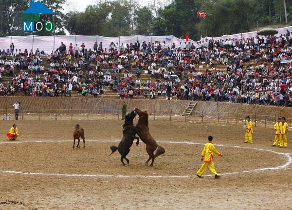 Hình ảnh Phù Lưu, Tuyên Quang