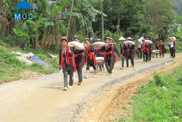 Hình ảnh Tân Long, Tuyên Quang