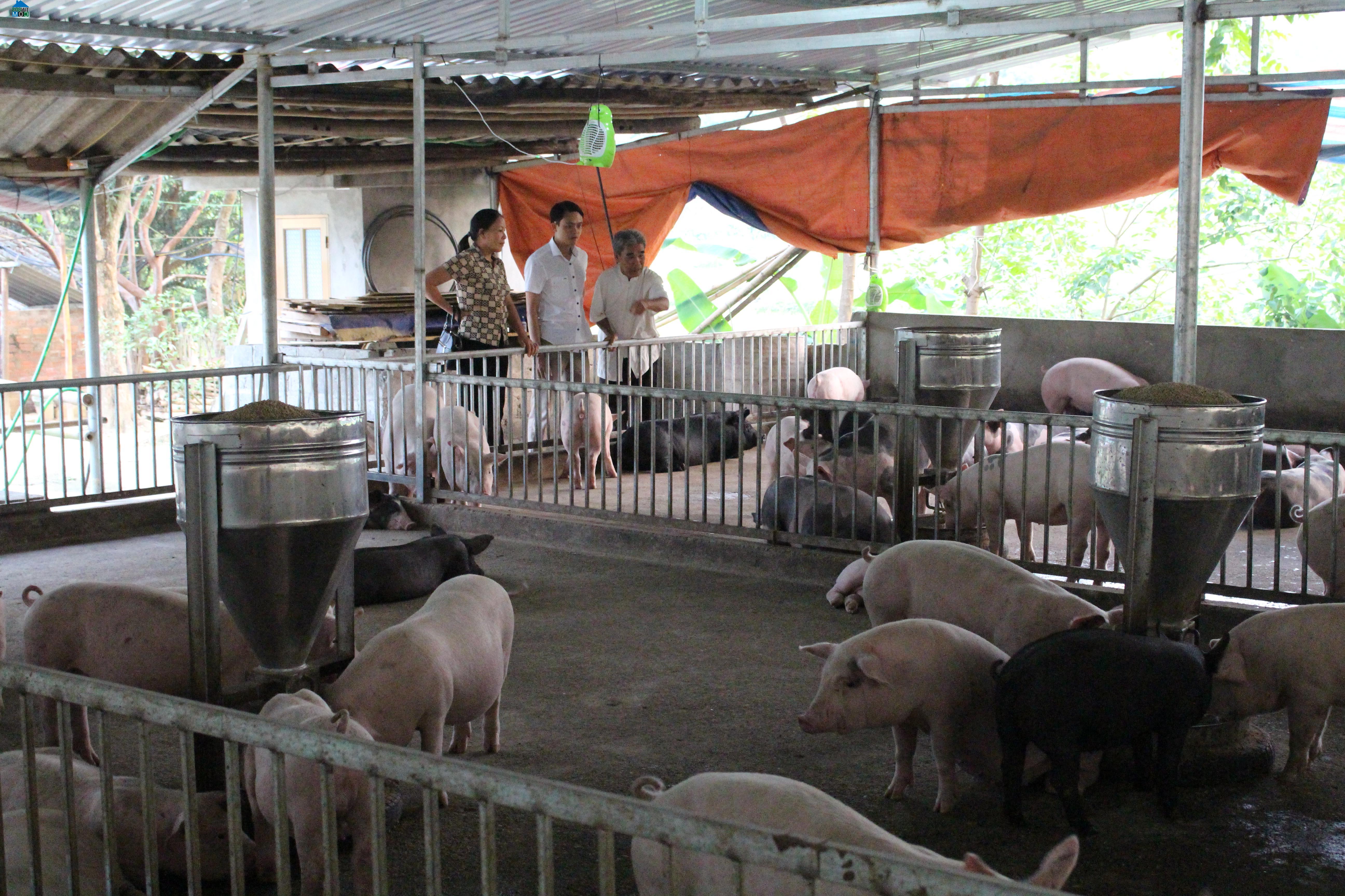 Hình ảnh Tân Mỹ, Tuyên Quang