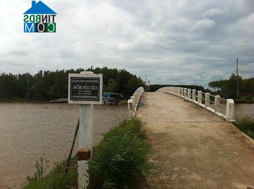 Hình ảnh Thạnh Hải, Vĩnh Long