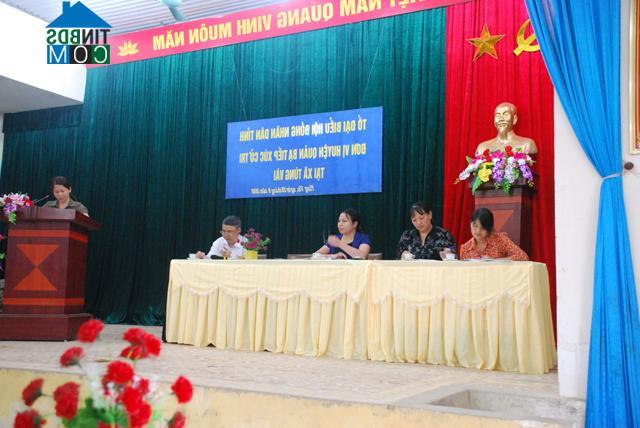 Hình ảnh Tùng Vài, Tuyên Quang