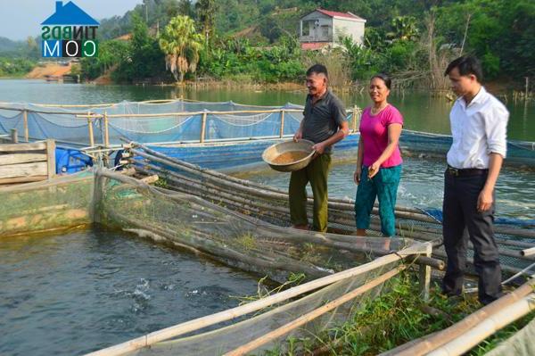 Hình ảnh Yên Lập, Tuyên Quang