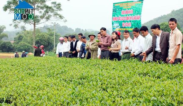 Hình ảnh Yên Sơn, Tuyên Quang
